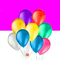Bexiga / Balão de Festa