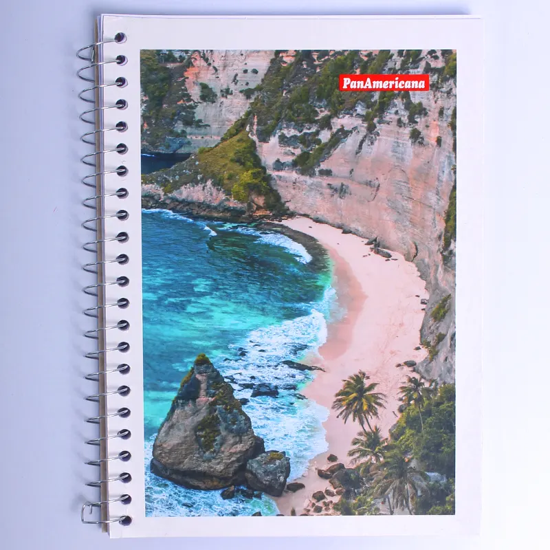 caderno-espiral-pequeno-1-4-capa-flexivel-c-80-folhas-panamericana-13522 Caderno Espiral Pequeno 1/4 Capa Flexível Sortidas C/80 Folhas - PanAmericana - Imagem 1