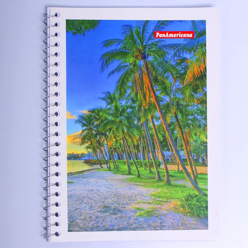 caderno-pequeno-espiral-1-4-capa-flexivel-c-48-folhas-panamericana-10158 Caderno Pequeno Espiral 1/4 Capa Flexível Sortidas C/48 Folhas - PanAmericana - Imagem 1
